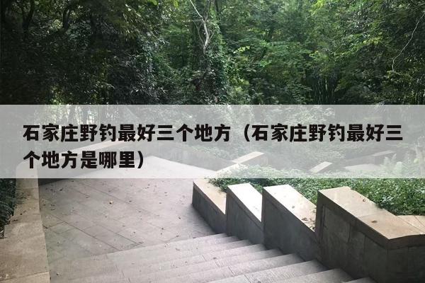 石家庄野钓最好三个地方（石家庄野钓最好三个地方是哪里）