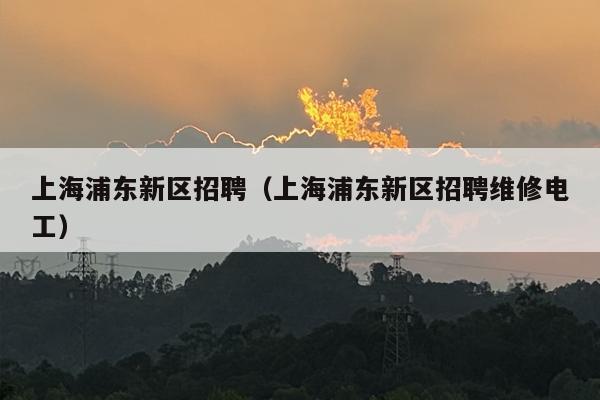 上海浦东新区招聘（上海浦东新区招聘维修电工）