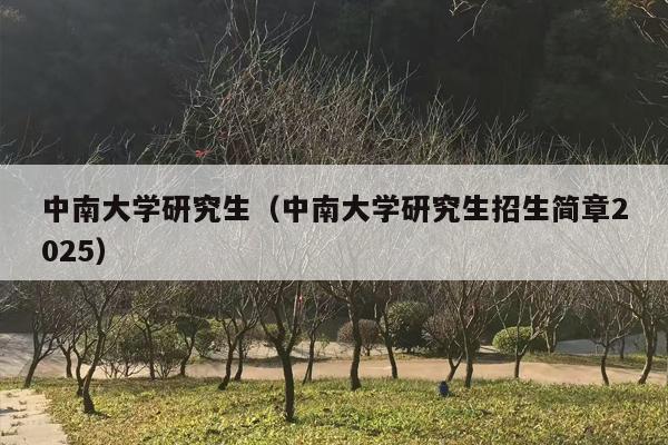中南大学研究生（中南大学研究生招生简章2025）