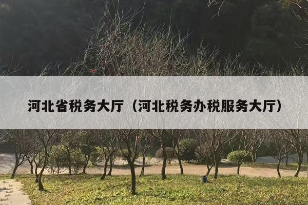 河北省税务大厅（河北税务办税服务大厅）
