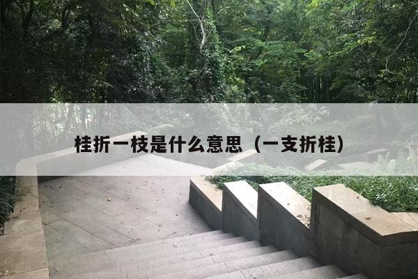桂折一枝是什么意思（一支折桂）