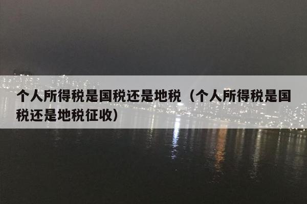 个人所得税是国税还是地税（个人所得税是国税还是地税征收）