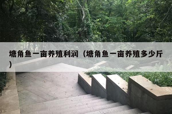 塘角鱼一亩养殖利润（塘角鱼一亩养殖多少斤）