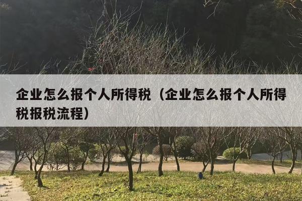 企业怎么报个人所得税（企业怎么报个人所得税报税流程）