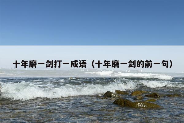 十年磨一剑打一成语（十年磨一剑的前一句）