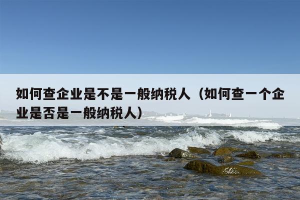 如何查企业是不是一般纳税人（如何查一个企业是否是一般纳税人）