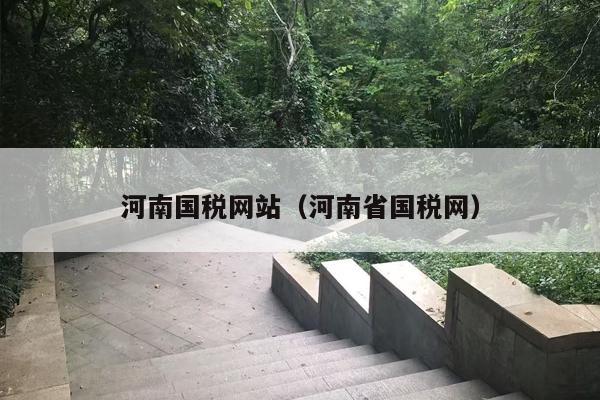河南国税网站（河南省国税网）