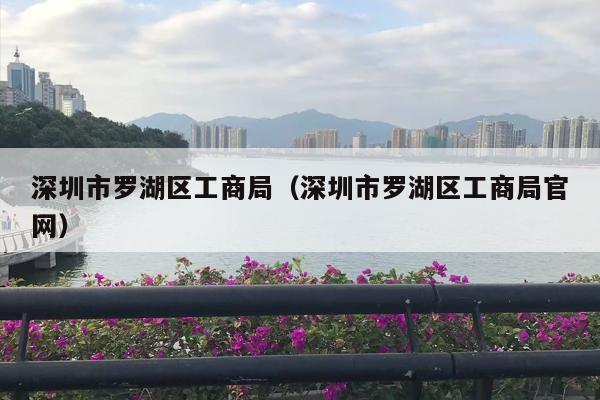 深圳市罗湖区工商局（深圳市罗湖区工商局官网）