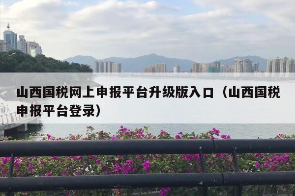 山西国税网上申报平台升级版入口（山西国税申报平台登录）