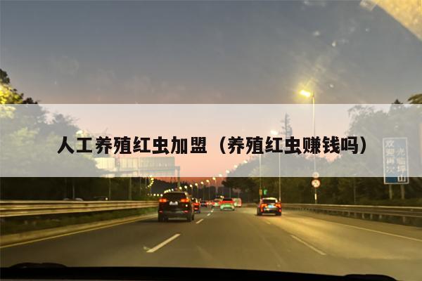 人工养殖红虫加盟（养殖红虫赚钱吗）