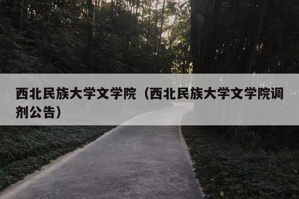 西北民族大学文学院（西北民族大学文学院调剂公告）