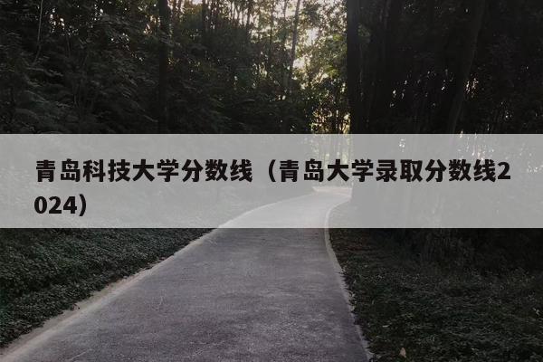 青岛科技大学分数线（青岛大学录取分数线2024）