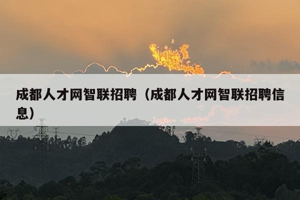 成都人才网智联招聘（成都人才网智联招聘信息）