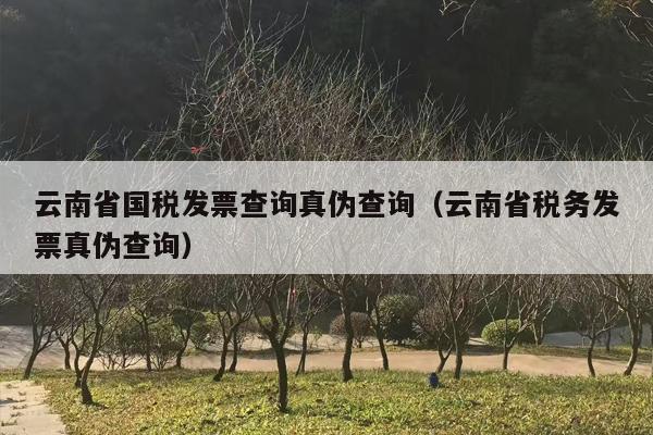 云南省国税发票查询真伪查询（云南省税务发票真伪查询）