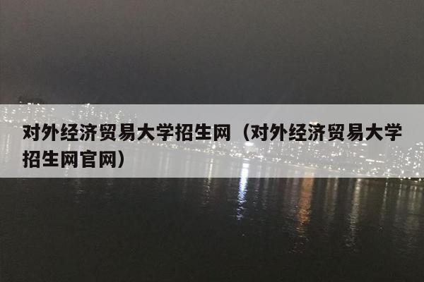 对外经济贸易大学招生网（对外经济贸易大学招生网官网）