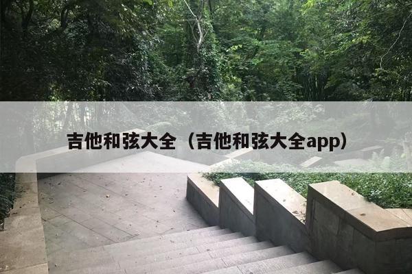 吉他***大全（吉他***大全app）