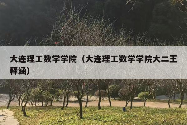 大连理工数学学院（大连理工数学学院大二王释涵）