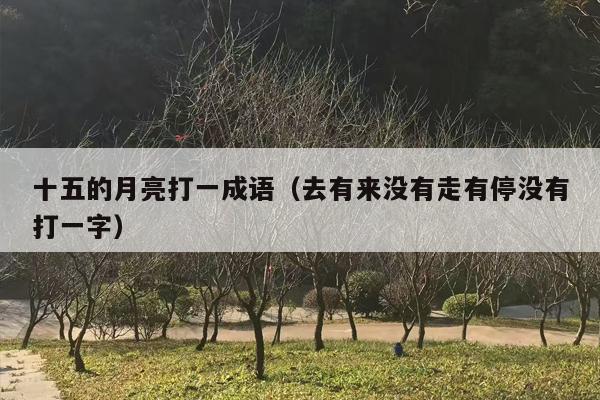十五的月亮打一成语（去有来没有走有停没有打一字）