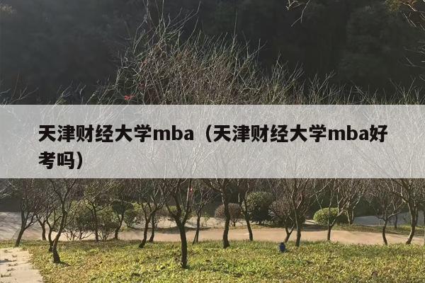 天津财经大学mba（天津财经大学mba好考吗）
