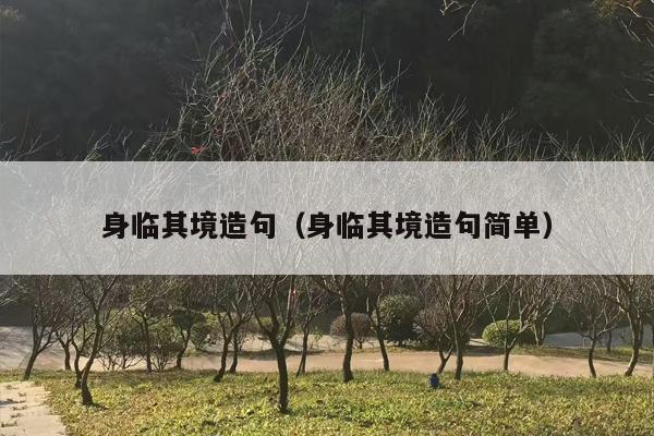 身临其境造句（身临其境造句简单）
