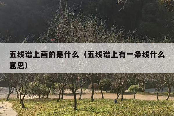 五线谱上画的是什么（五线谱上有一条线什么意思）