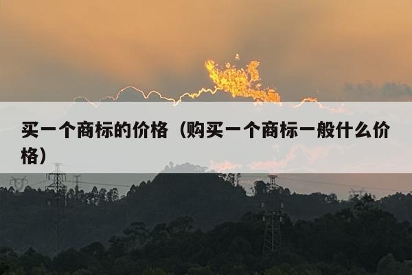 买一个商标的价格（购买一个商标一般什么价格）