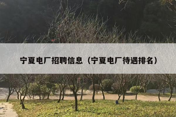 宁夏电厂招聘信息（宁夏电厂待遇排名）