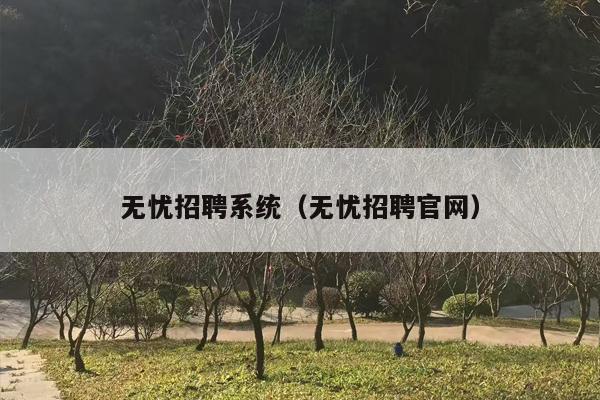 无忧招聘系统（无忧招聘官网）