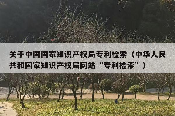关于中国国家知识产权局专利检索（中华人民共和国家知识产权局网站“专利检索”）
