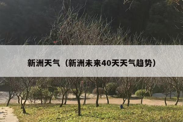 新洲天气（新洲未来40天天气趋势）