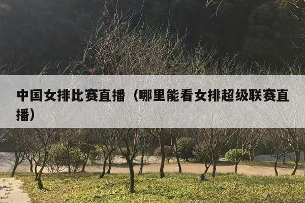 中国女排比赛直播（哪里能看女排超级联赛直播）