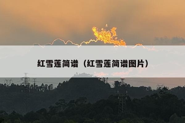 红雪莲简谱（红雪莲简谱图片）