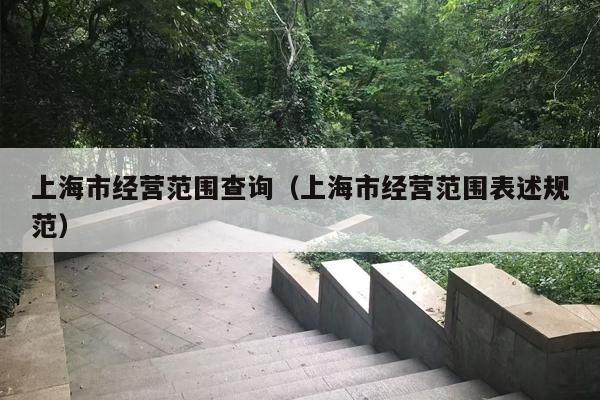 上海市经营范围查询（上海市经营范围表述规范）