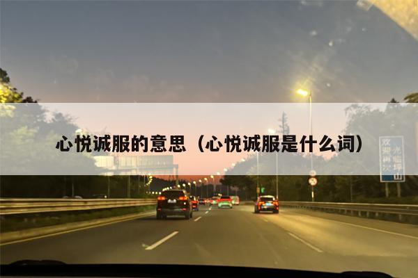 心悦诚服的意思（心悦诚服是什么词）
