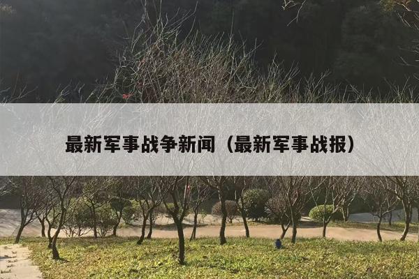 最新军事战争新闻（最新军事战报）