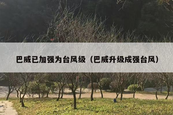 巴威已加强为台风级（巴威升级成强台风）