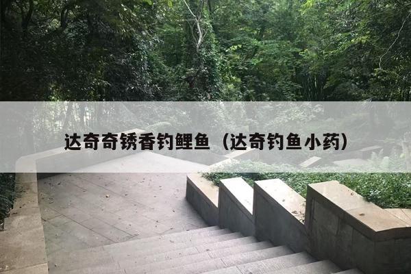 达奇奇锈香钓鲤鱼（达奇钓鱼小药）