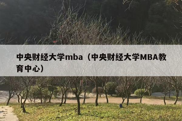中央财经大学mba（中央财经大学MBA教育中心）
