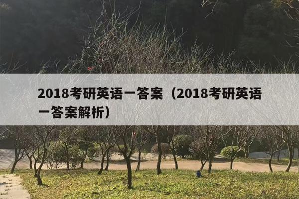 2018考研英语一答案（2018考研英语一答案解析）