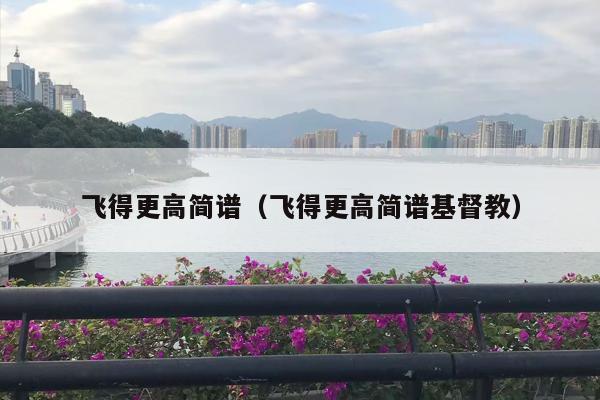 飞得更高简谱（飞得更高简谱***教）