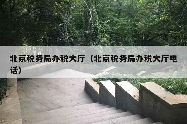 北京税务局办税大厅（北京税务局办税大厅电话）