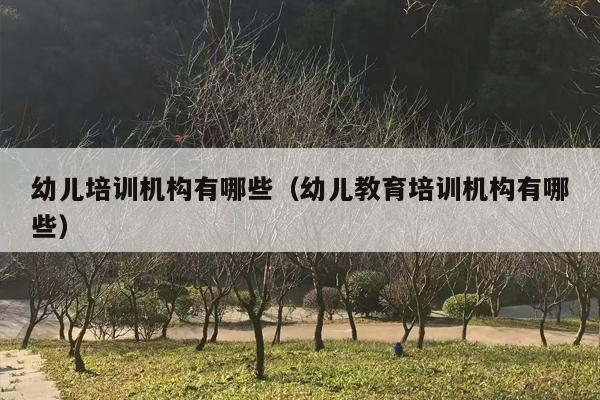 幼儿培训机构有哪些（幼儿教育培训机构有哪些）