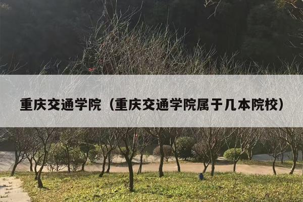 重庆交通学院（重庆交通学院属于几本院校）