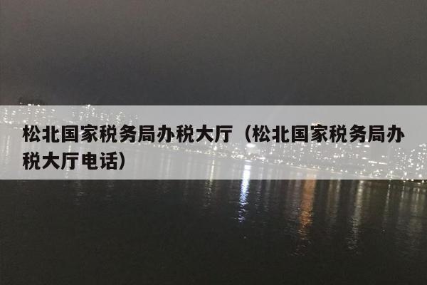 松北国家税务局办税大厅（松北国家税务局办税大厅电话）