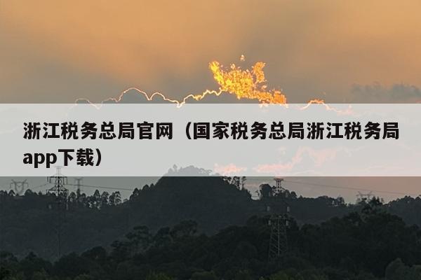 浙江税务总局官网（国家税务总局浙江税务局app下载）