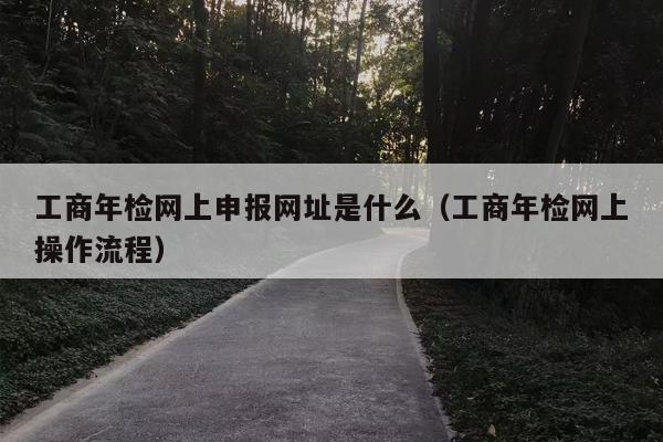 工商年检网上申报网址是什么（工商年检网上操作流程）