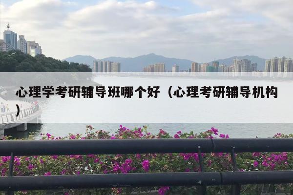 心理学考研辅导班哪个好（心理考研辅导机构）