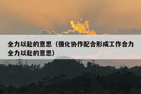 全力以赴的意思（强化协作配合形成工作合力全力以赴的意思）