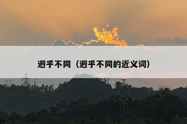迥乎不同（迥乎不同的近义词）