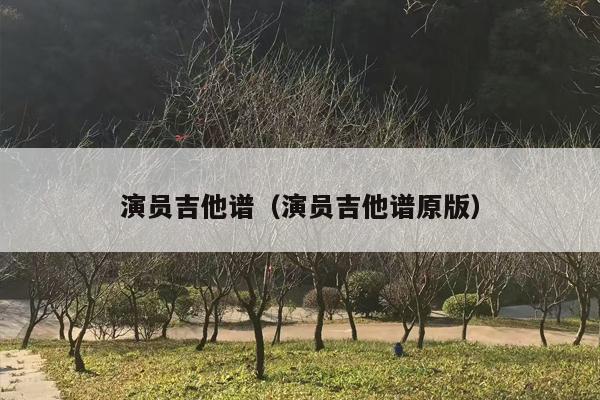 演员吉他谱（演员吉他谱原版）